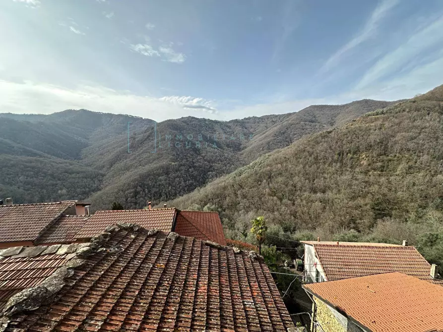 Immagine 13 di Rustico / casale in vendita  in frazione vellego a Casanova Lerrone