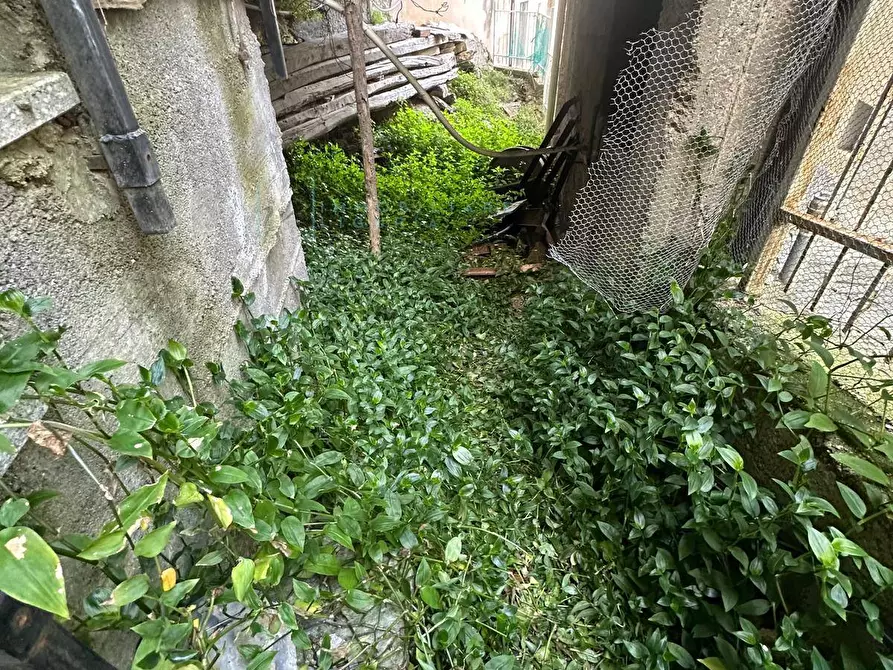 Immagine 32 di Rustico / casale in vendita  in frazione vellego a Casanova Lerrone