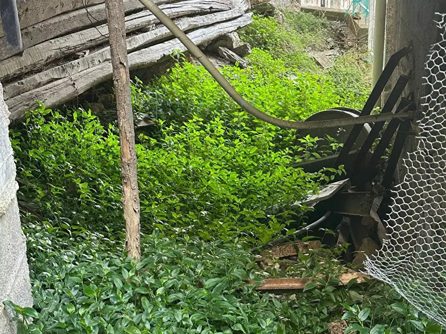Immagine 35 di Rustico / casale in vendita  in frazione vellego a Casanova Lerrone