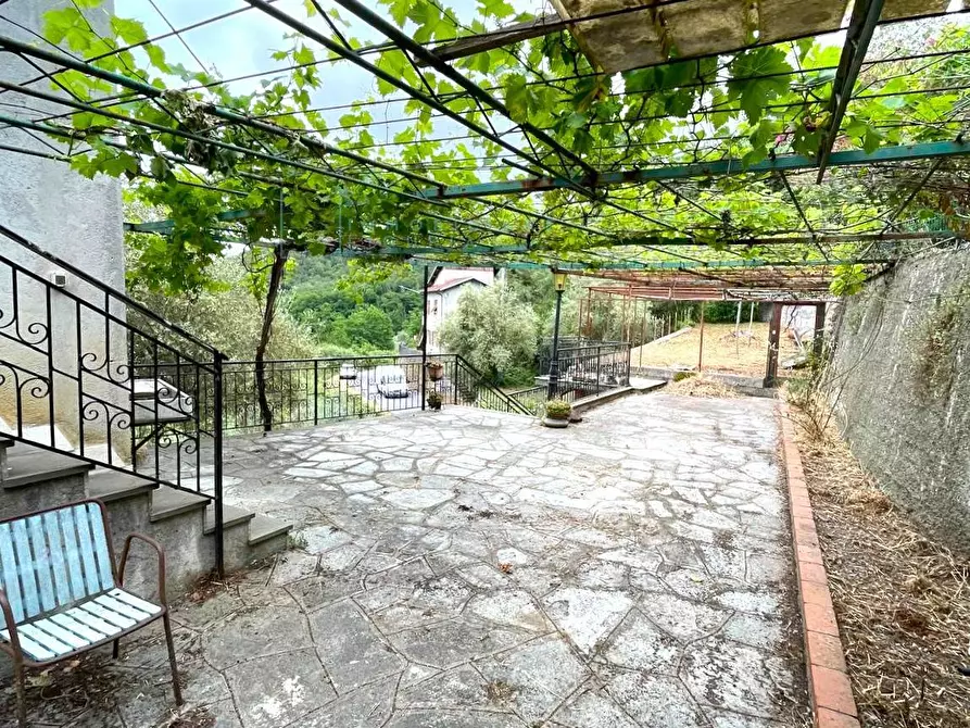 Immagine 17 di Casa indipendente in vendita  a Borgomaro
