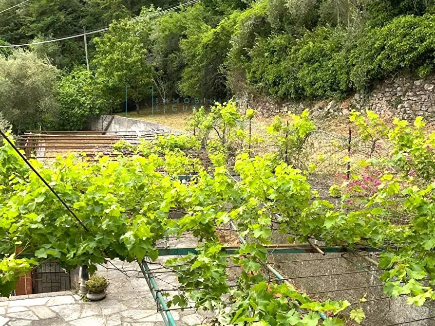 Immagine 20 di Casa indipendente in vendita  a Borgomaro
