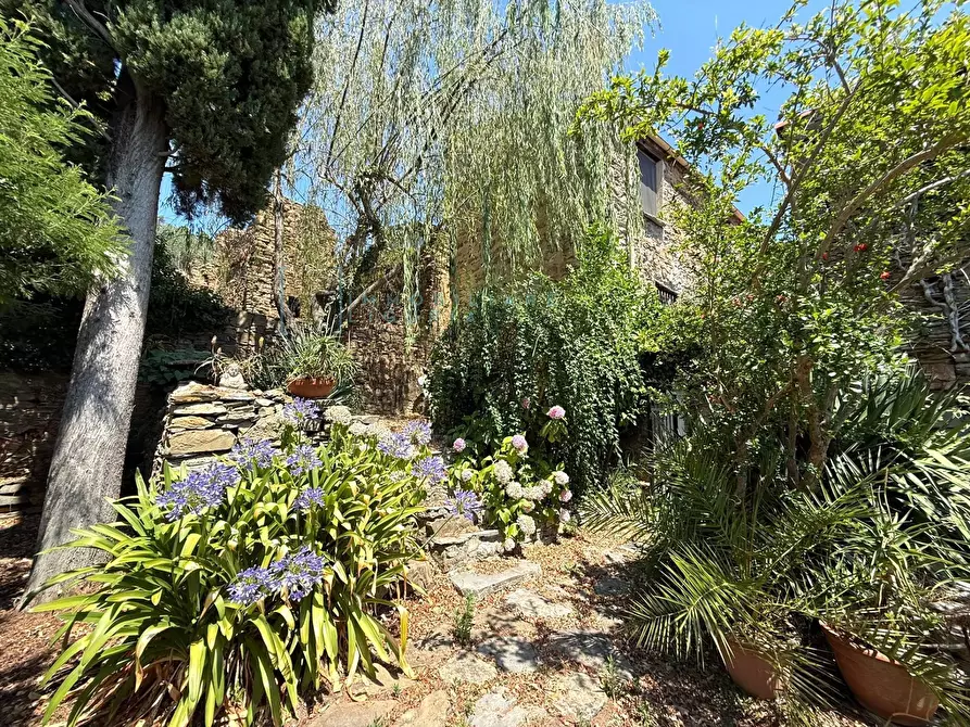 Immagine 39 di Rustico / casale in vendita  in Frazione ligo case di là a Villanova D'albenga