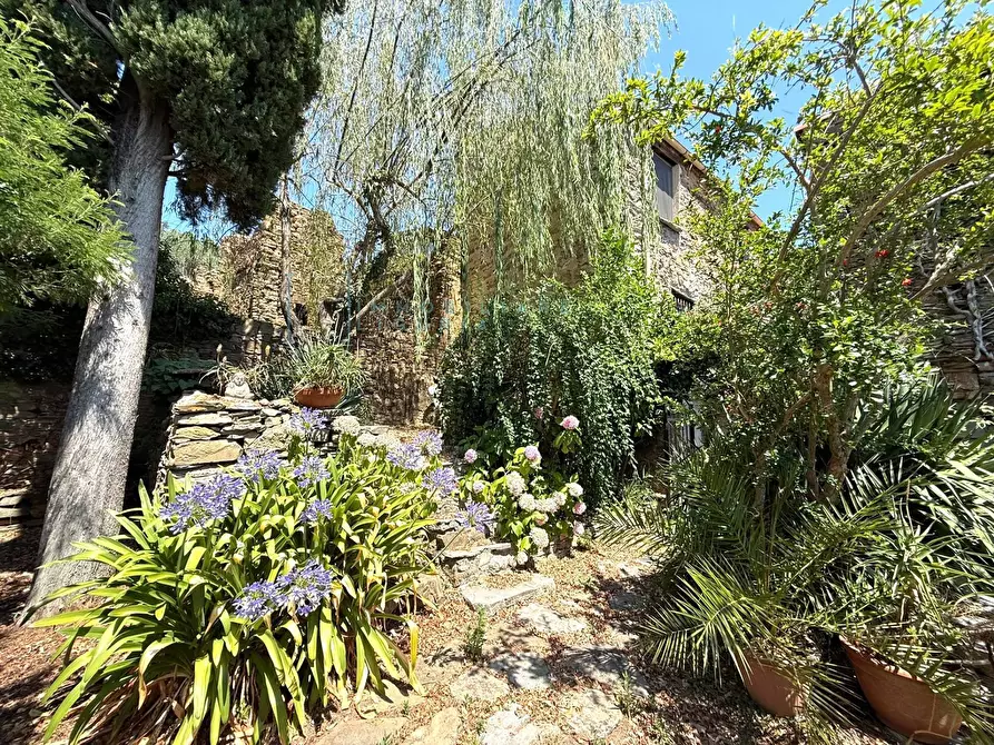 Immagine 2 di Rustico / casale in vendita  in Frazione ligo case di là a Villanova D'albenga