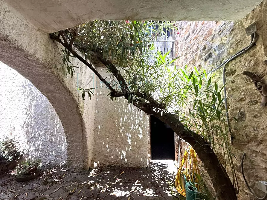 Immagine 46 di Rustico / casale in vendita  in Frazione ligo case di là a Villanova D'albenga
