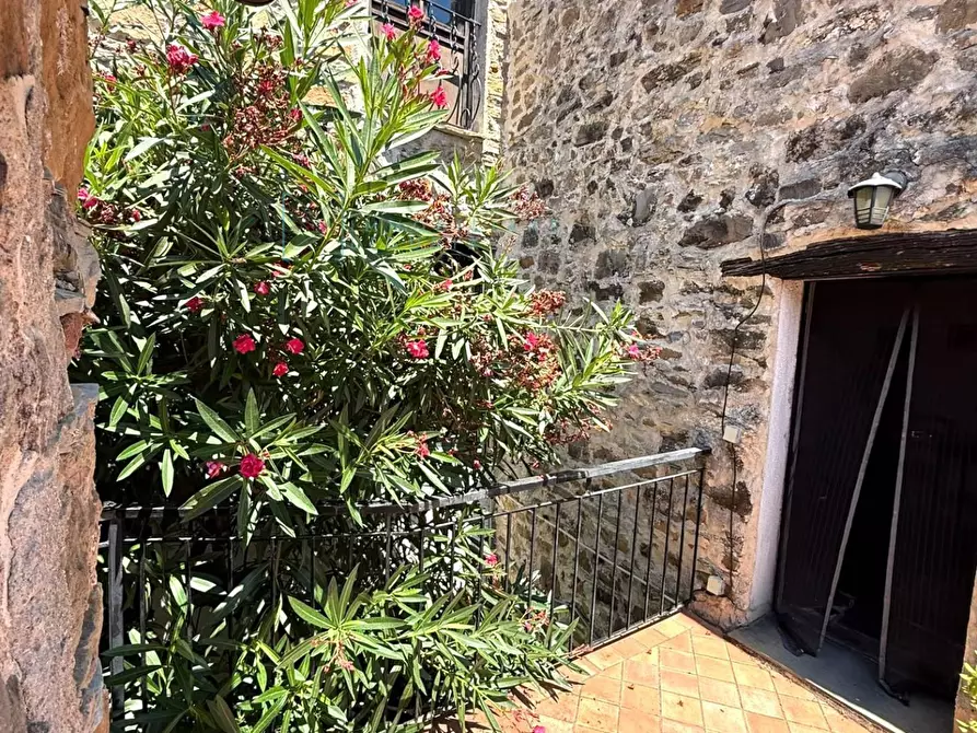 Immagine 47 di Rustico / casale in vendita  in Frazione ligo case di là a Villanova D'albenga