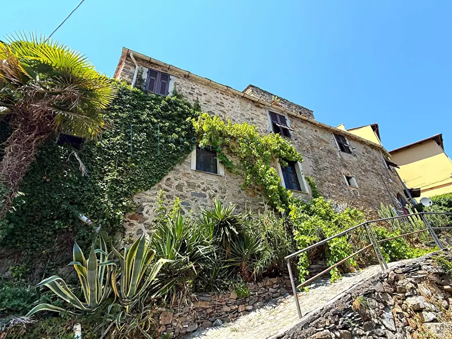 Immagine 1 di Rustico / casale in vendita  in Frazione ligo case di là a Villanova D'albenga