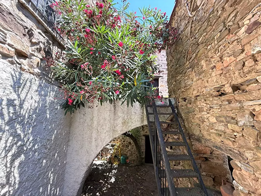 Immagine 55 di Rustico / casale in vendita  in Frazione ligo case di là a Villanova D'albenga