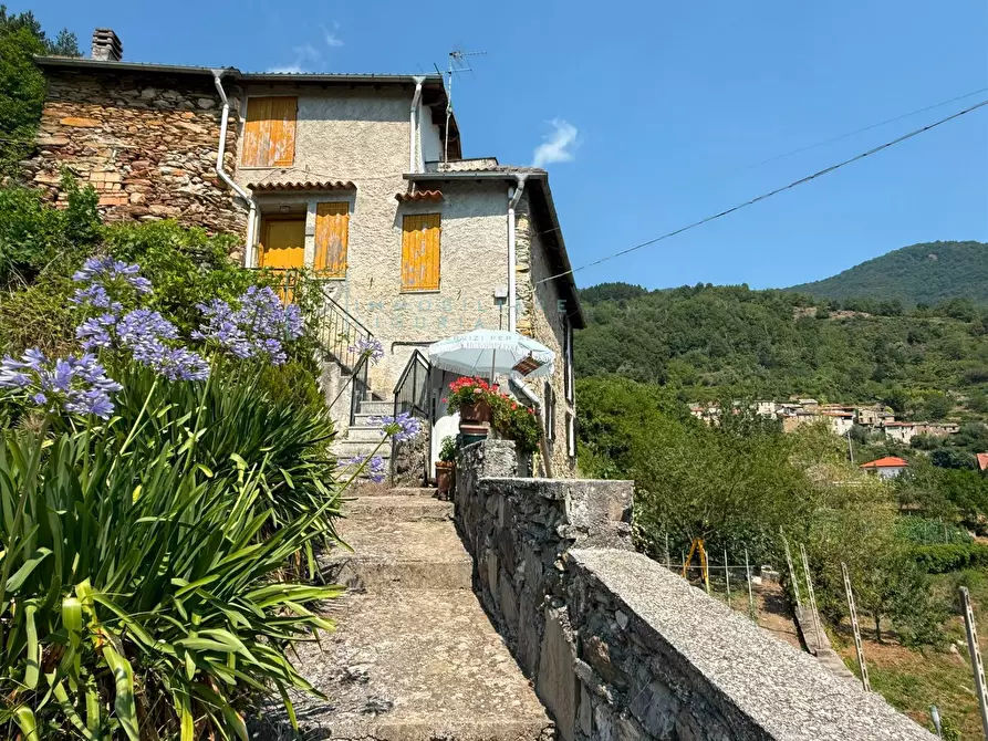 Immagine 1 di Rustico / casale in vendita  in località costa secca a Rezzo