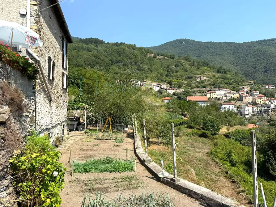 Immagine 21 di Rustico / casale in vendita  in località costa secca a Rezzo