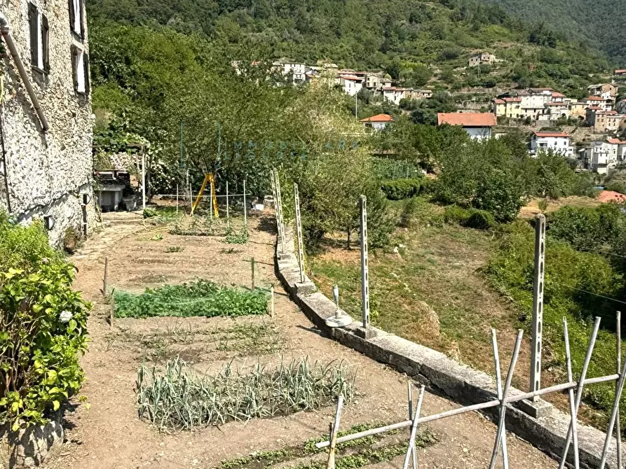 Immagine 22 di Rustico / casale in vendita  in località costa secca a Rezzo