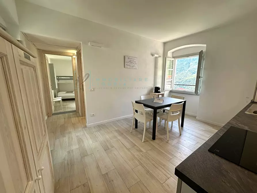 Immagine 4 di Appartamento in vendita  in Via IV Novembre a Castelbianco