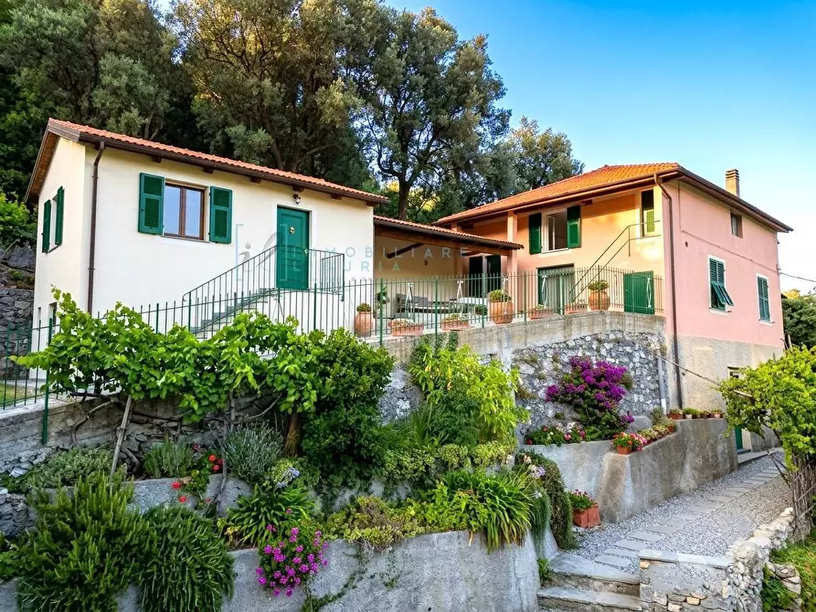 Immagine 30 di Rustico / casale in vendita  in Via Piemonte a Erli