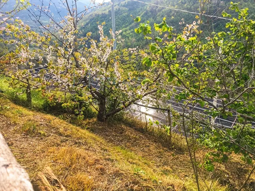 Immagine 28 di Rustico / casale in vendita  in Via Piemonte a Erli