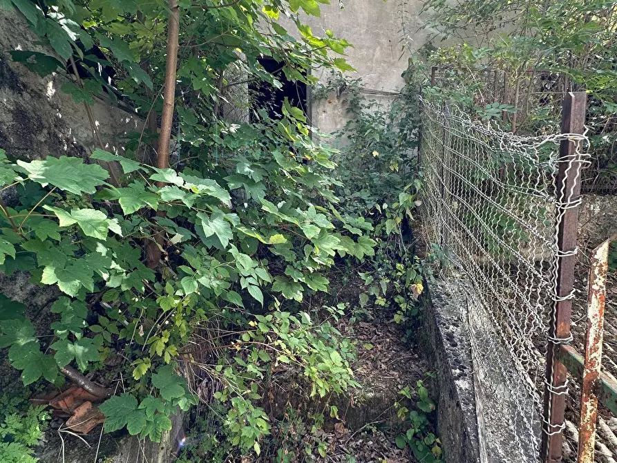 Immagine 23 di Casa semindipendente in vendita  in Via Giovanni Battista Pera a Calizzano