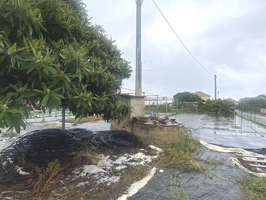 Immagine 1 di Terreno agricolo in vendita  in Prato del Vescovo a Albenga