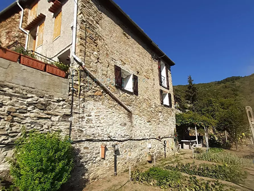 Immagine 1 di Rustico / casale in vendita  in località costa secca a Rezzo