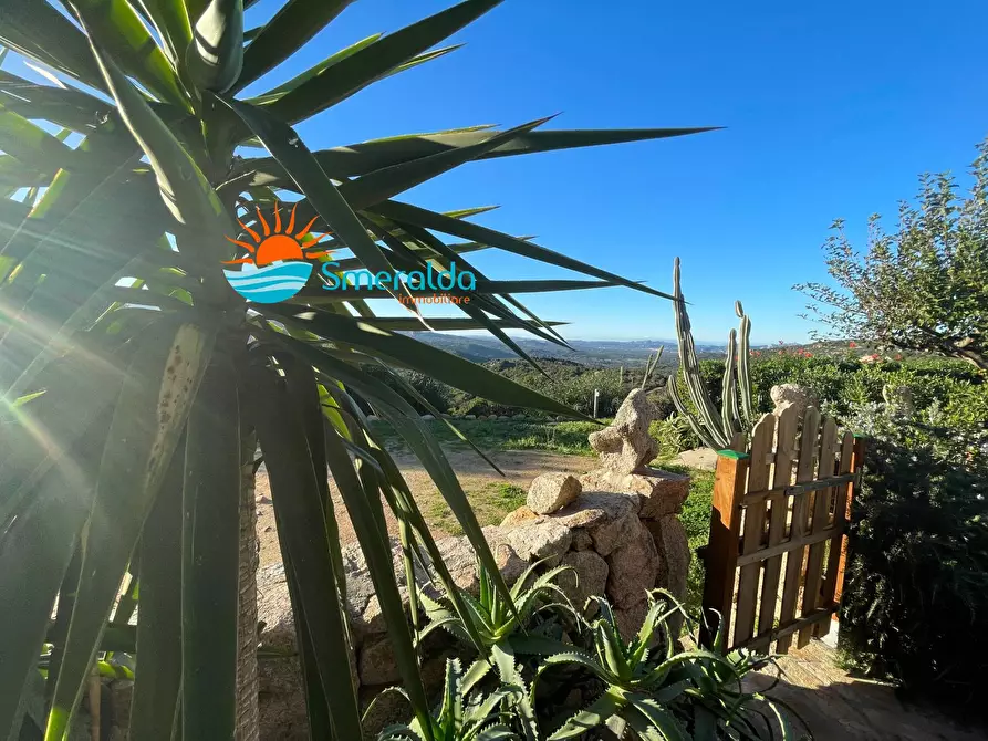 Immagine 56 di Appartamento in vendita  in Via Sole Ruju a Olbia