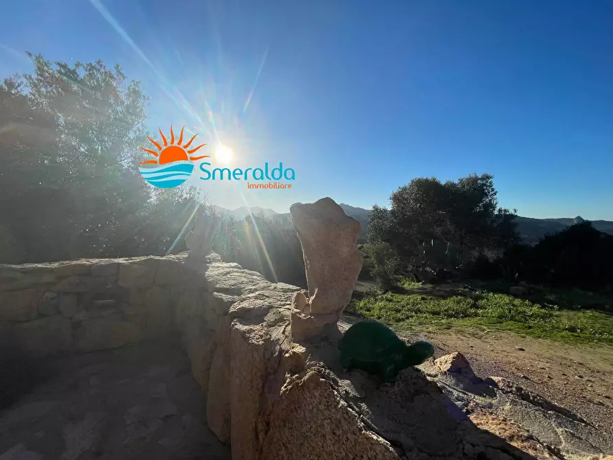 Immagine 57 di Appartamento in vendita  in Via Sole Ruju a Olbia