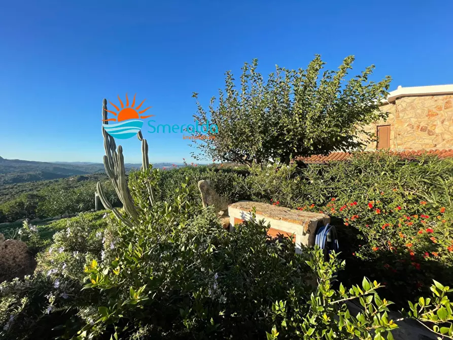 Immagine 58 di Appartamento in vendita  in Via Sole Ruju a Olbia