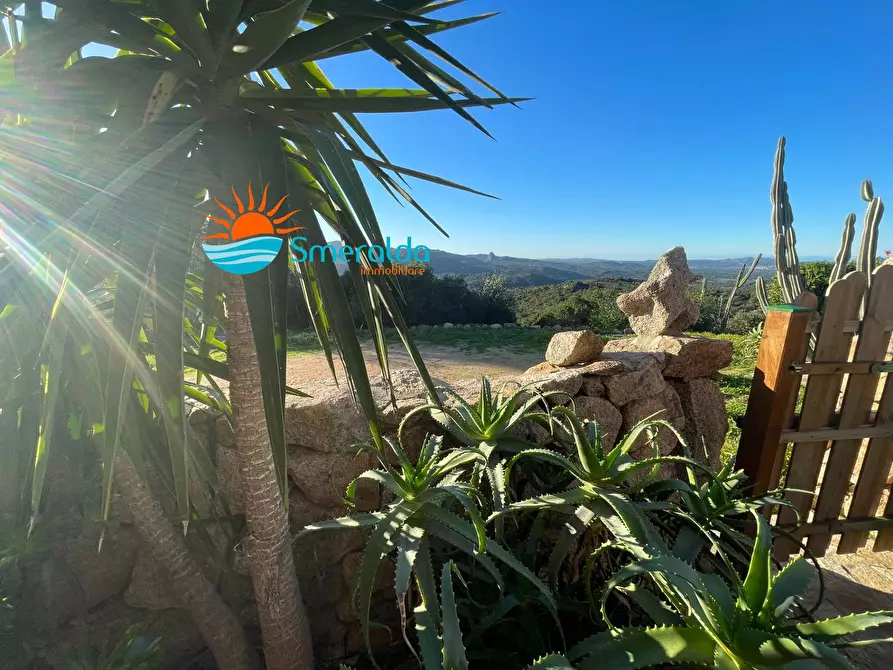 Immagine 60 di Appartamento in vendita  in Via Sole Ruju a Olbia