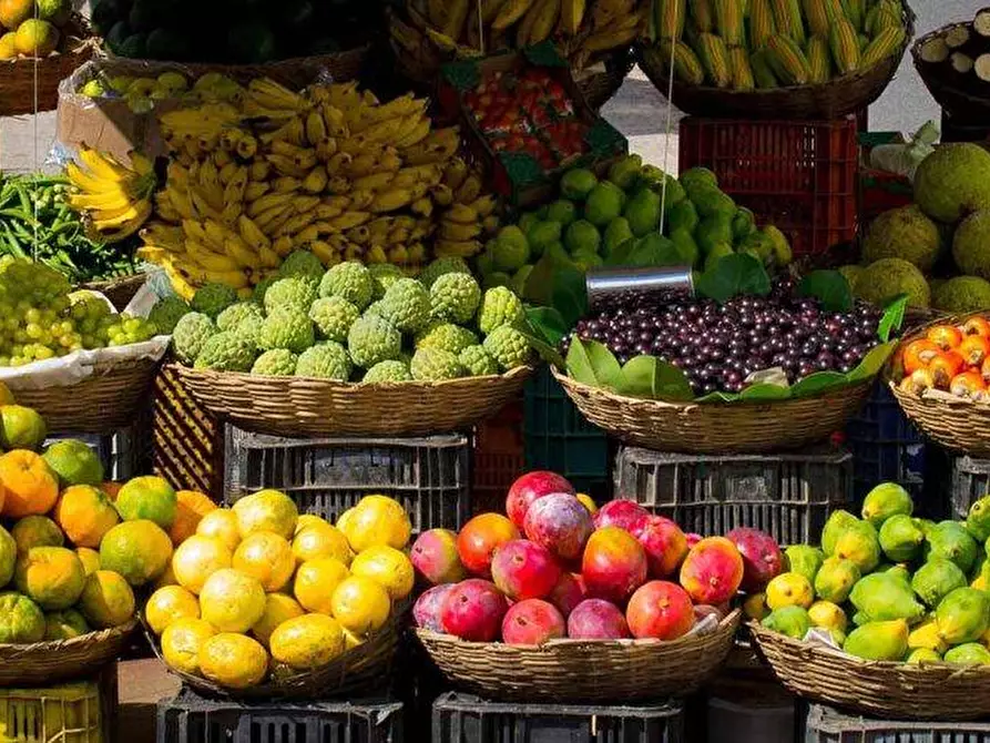 Immagine 7 di Attività commerciale in vendita  in v tezze a Arcene