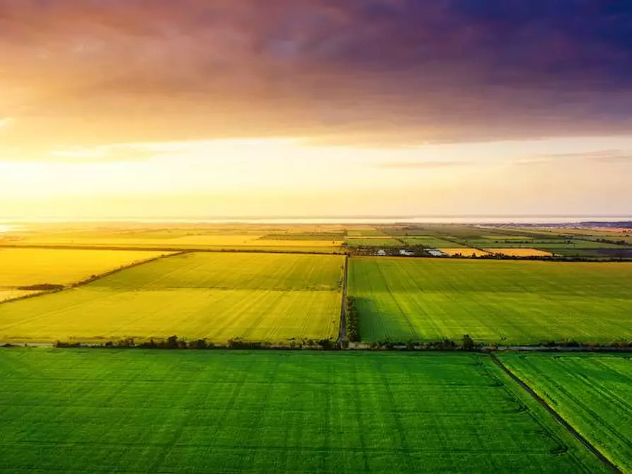 Immagine 3 di Terreno agricolo in vendita  a Bellusco
