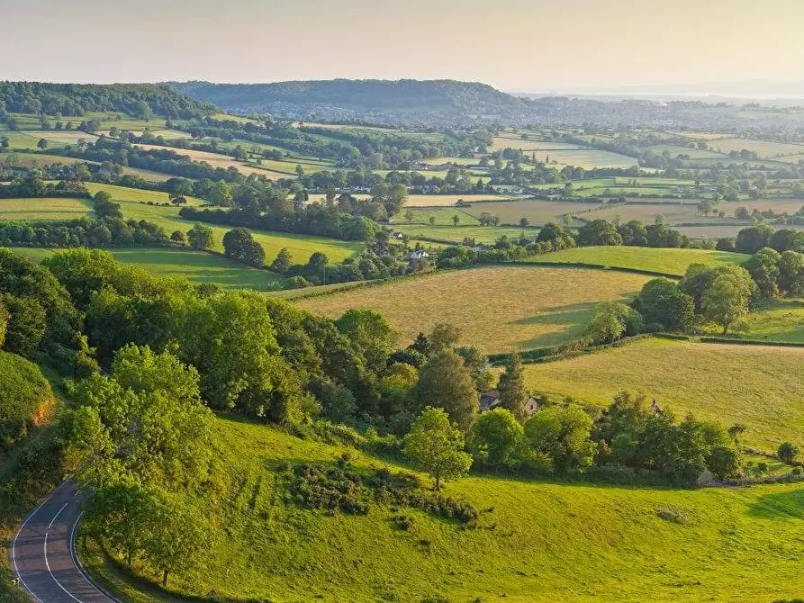 Immagine 2 di Terreno agricolo in vendita  a Bellusco