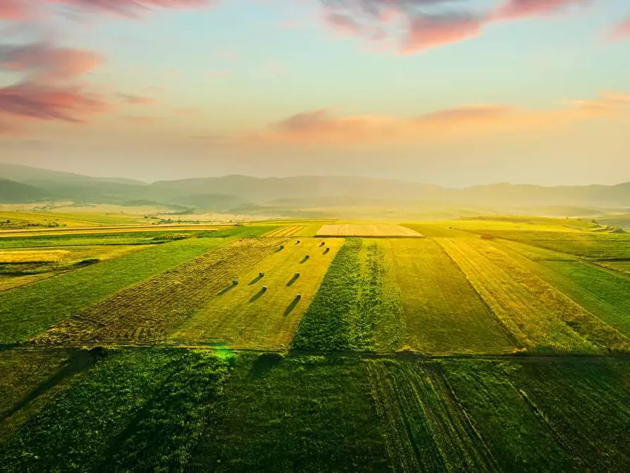 Immagine 3 di Terreno agricolo in vendita  a Busnago