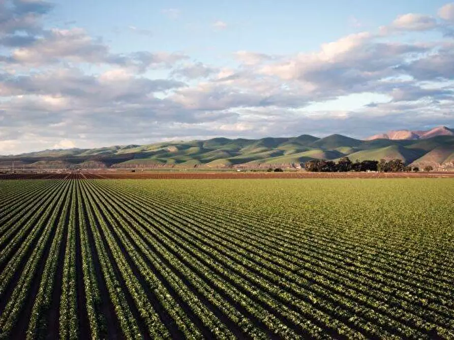 Immagine 1 di Terreno agricolo in vendita  a Busnago