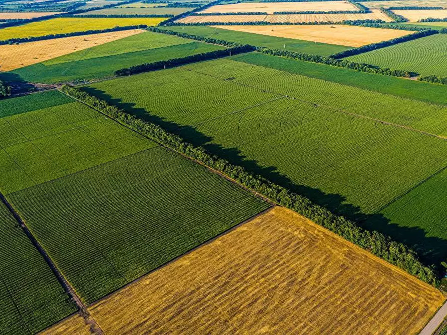 Immagine 4 di Terreno agricolo in vendita  a Busnago