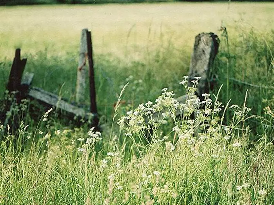 Immagine 8 di Terreno agricolo in vendita  a Busnago