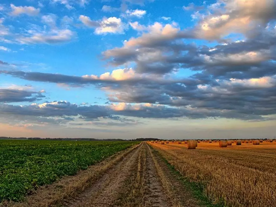 Immagine 7 di Terreno agricolo in vendita  a Busnago