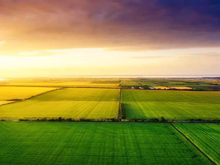 Immagine 5 di Terreno agricolo in vendita  a Busnago