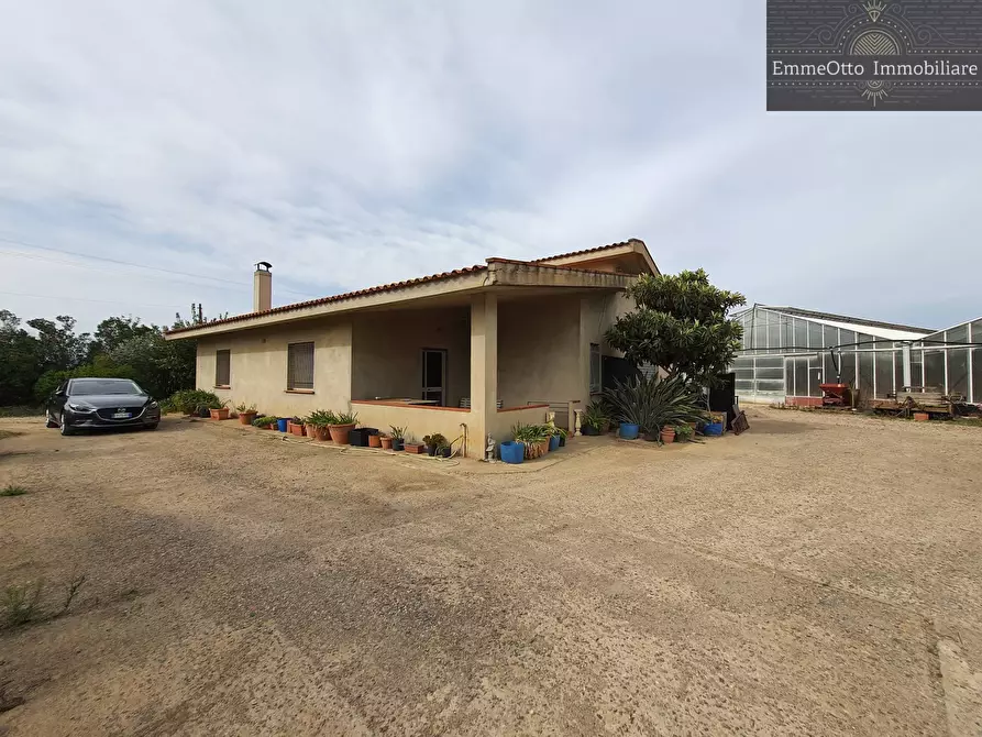 Immagine 8 di Terreno agricolo in vendita  in loc. sa nuxedda snc a Assemini