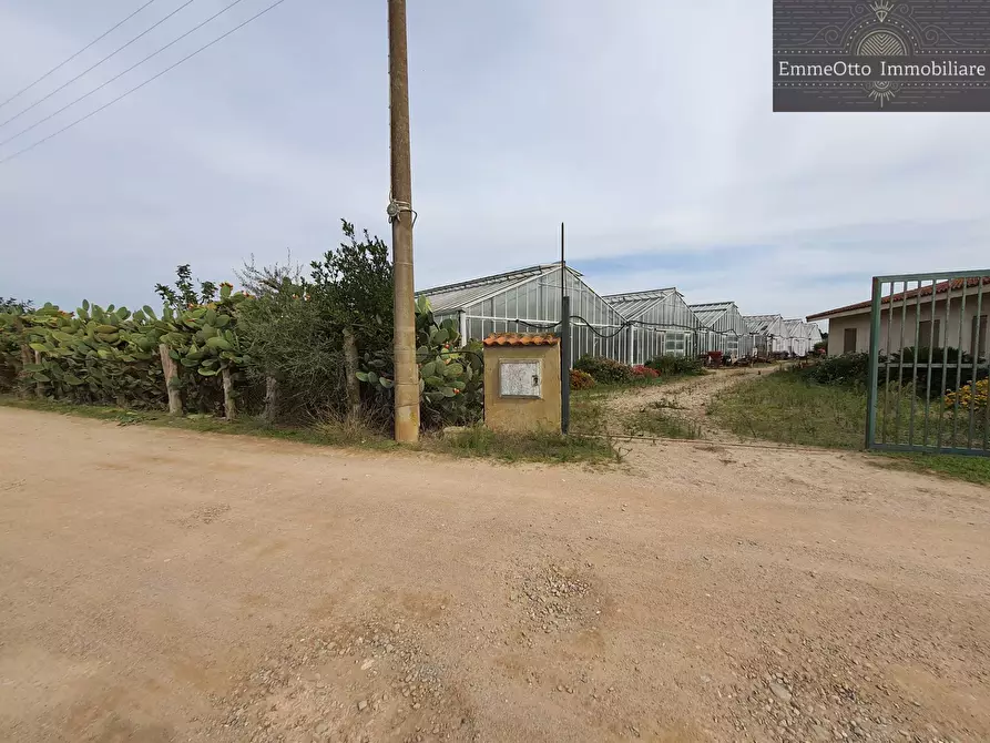 Immagine 4 di Terreno agricolo in vendita  in loc. sa nuxedda snc a Assemini