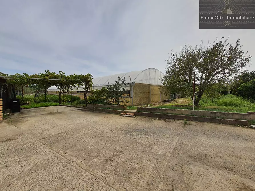 Immagine 7 di Terreno agricolo in vendita  in loc. sa nuxedda snc a Assemini