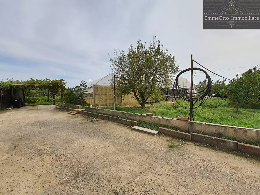 Immagine 9 di Terreno agricolo in vendita  in loc. sa nuxedda snc a Assemini
