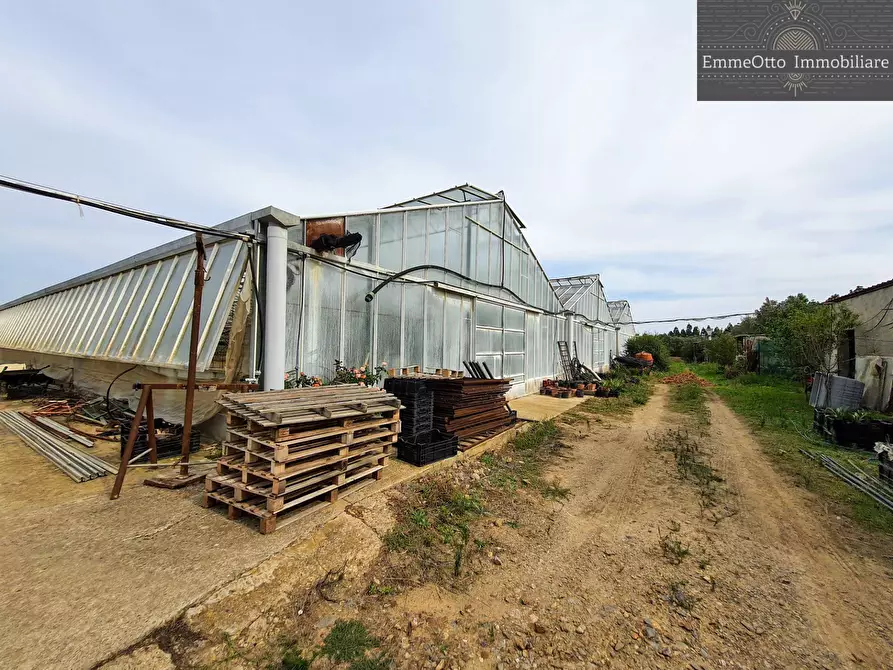 Immagine 11 di Terreno agricolo in vendita  in loc. sa nuxedda snc a Assemini