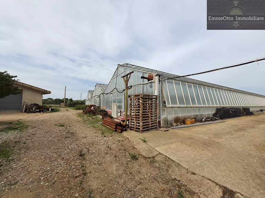 Immagine 12 di Terreno agricolo in vendita  in loc. sa nuxedda snc a Assemini