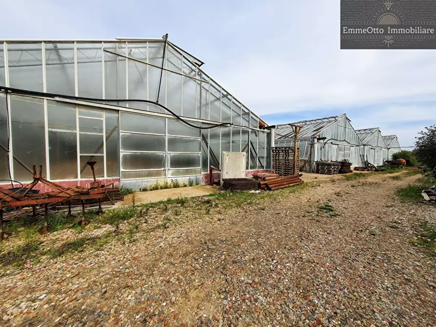 Immagine 13 di Terreno agricolo in vendita  in loc. sa nuxedda snc a Assemini