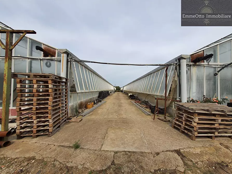 Immagine 14 di Terreno agricolo in vendita  in loc. sa nuxedda snc a Assemini