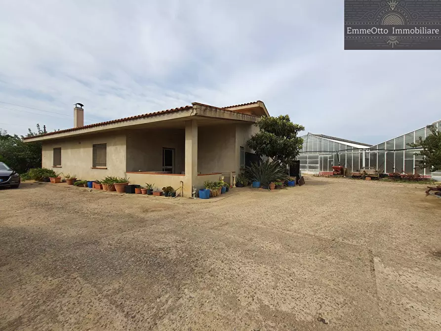 Immagine 2 di Terreno agricolo in vendita  in loc. sa nuxedda snc a Assemini