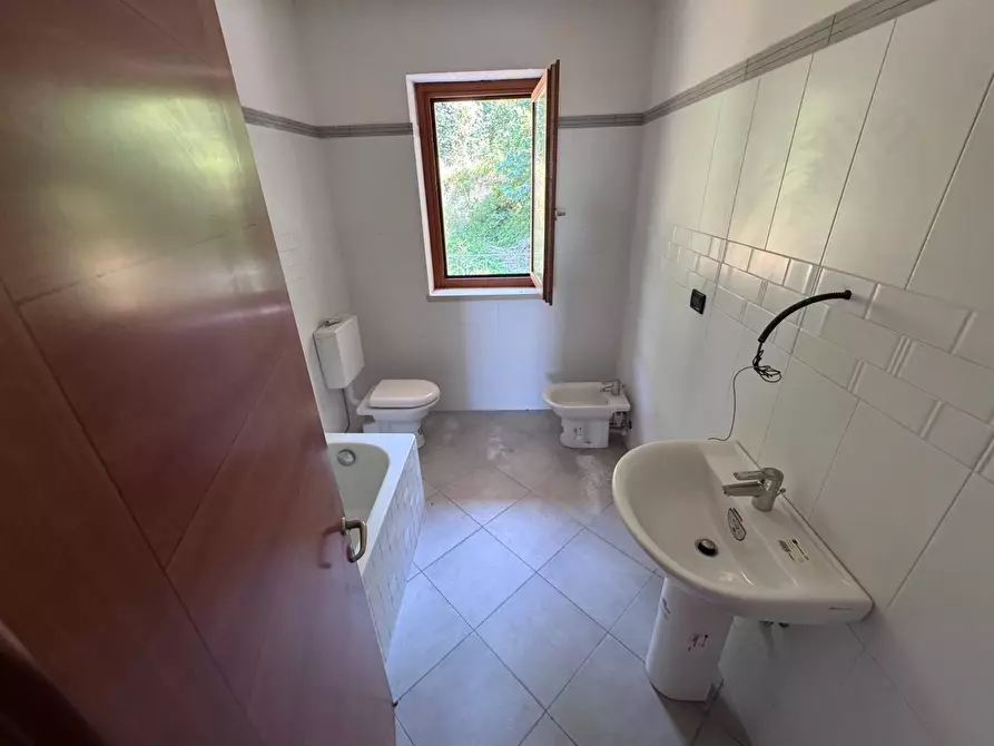 Immagine 17 di Attico in vendita  a Calcinaia