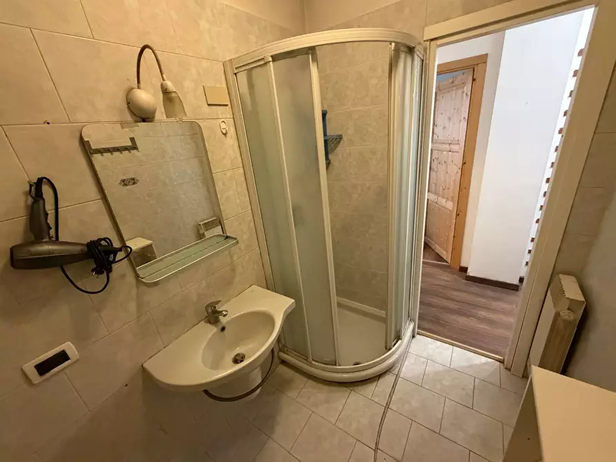 Immagine 18 di Appartamento in affitto  in VIA DI MEZZANA a Pisa