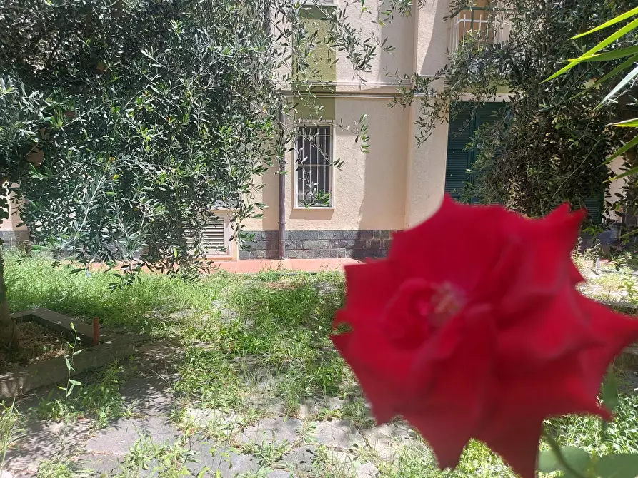 Immagine 1 di Appartamento in vendita  a Pietra Ligure