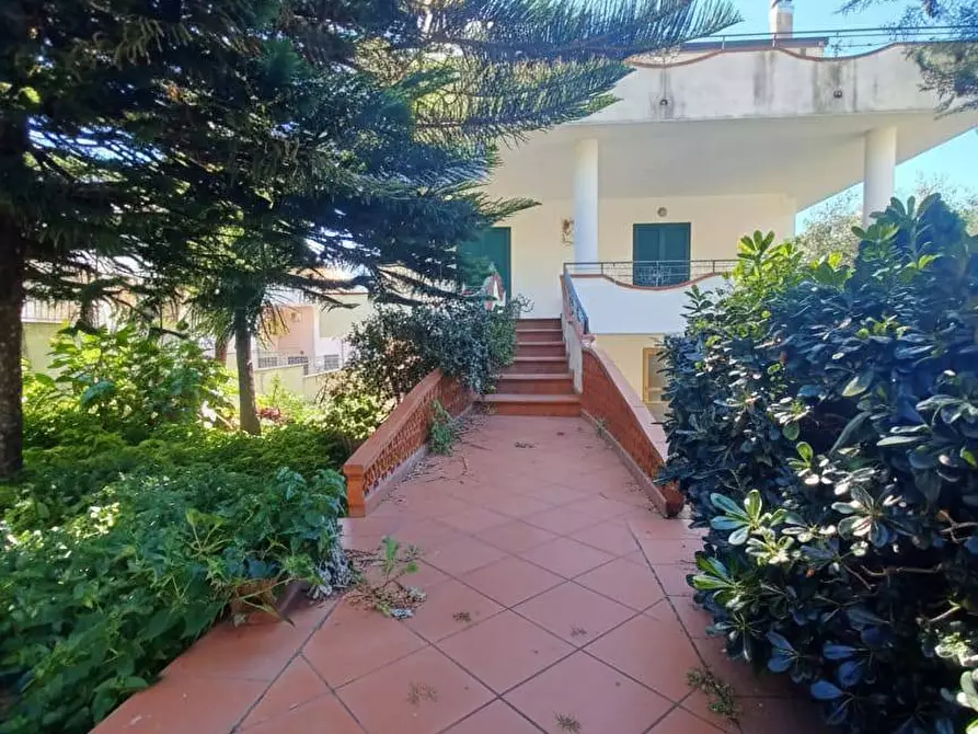 Immagine 21 di Villa in vendita  in Via Roma 41 a Aiello Del Sabato