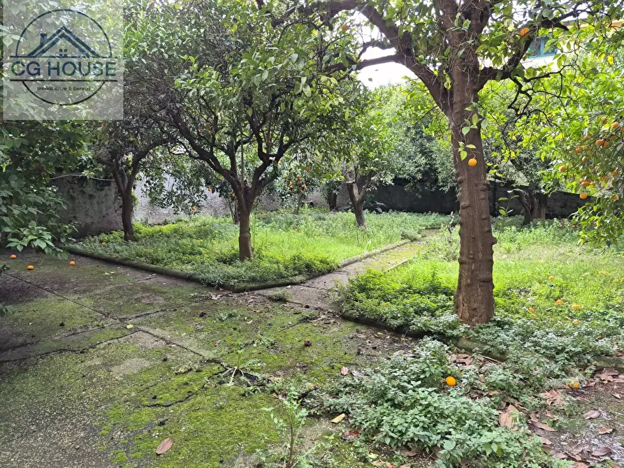 Immagine 12 di Casa semindipendente in vendita  in Via Roma a Greci