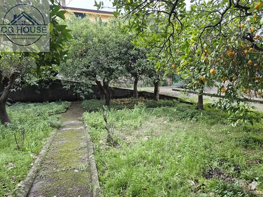 Immagine 16 di Casa semindipendente in vendita  in Via Roma a Greci