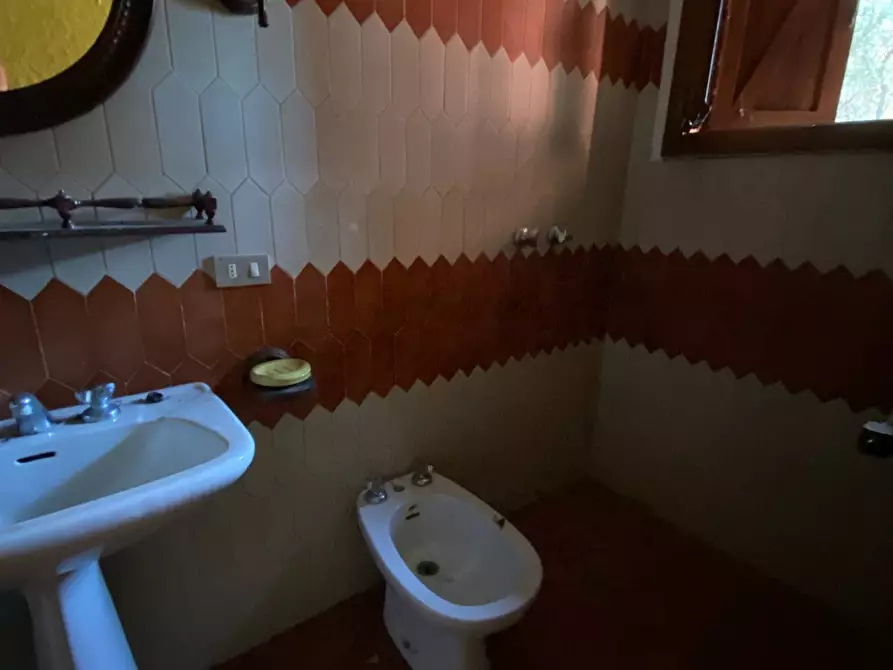 Immagine 14 di Villa in vendita  in via delle selvette 111 a Camaiore