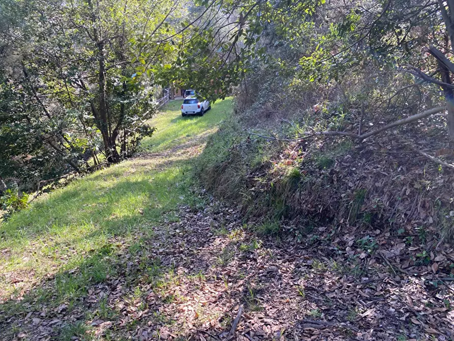 Immagine 21 di Villa in vendita  in via delle selvette 111 a Camaiore